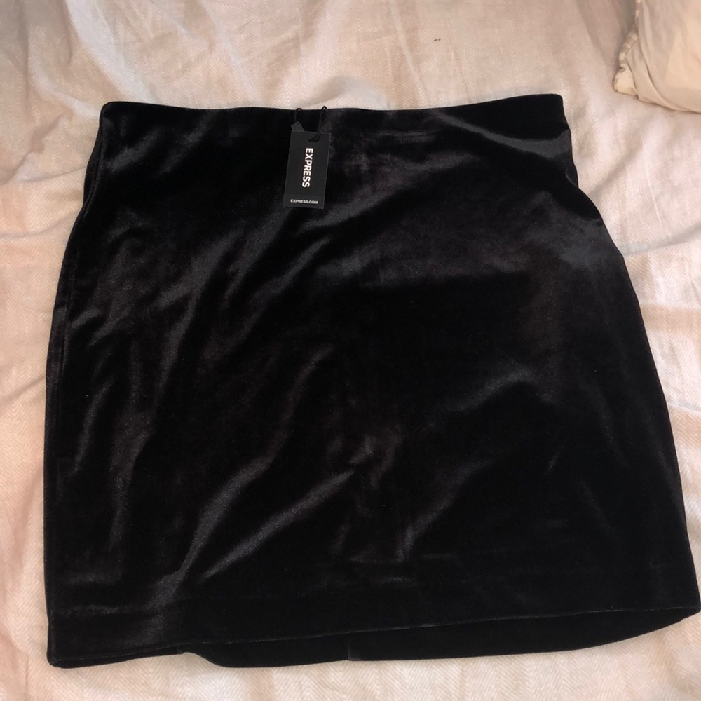 Brand New Velvet Express Mini Skirt